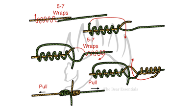 knot sample image