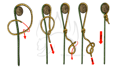 knot sample image