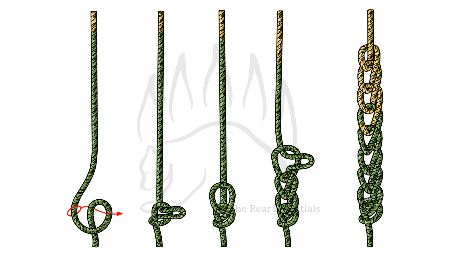 Step-by-step guide showing how to tie the Daisy Chain Knot.