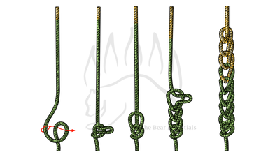 knot sample image