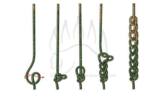 Step-by-step guide showing how to tie the Daisy Chain Knot.