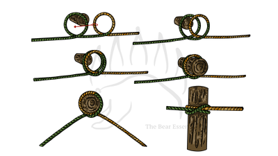 knot sample image