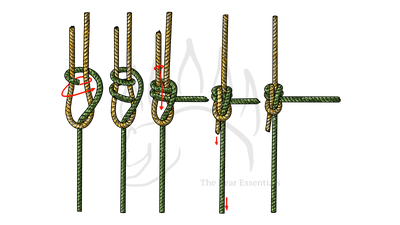 knot sample image
