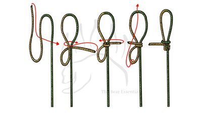 knot sample image