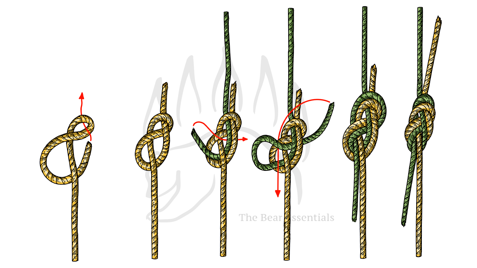 How to Tie the Figure Eight Bend - The Bear Essentials Outdoors Co.