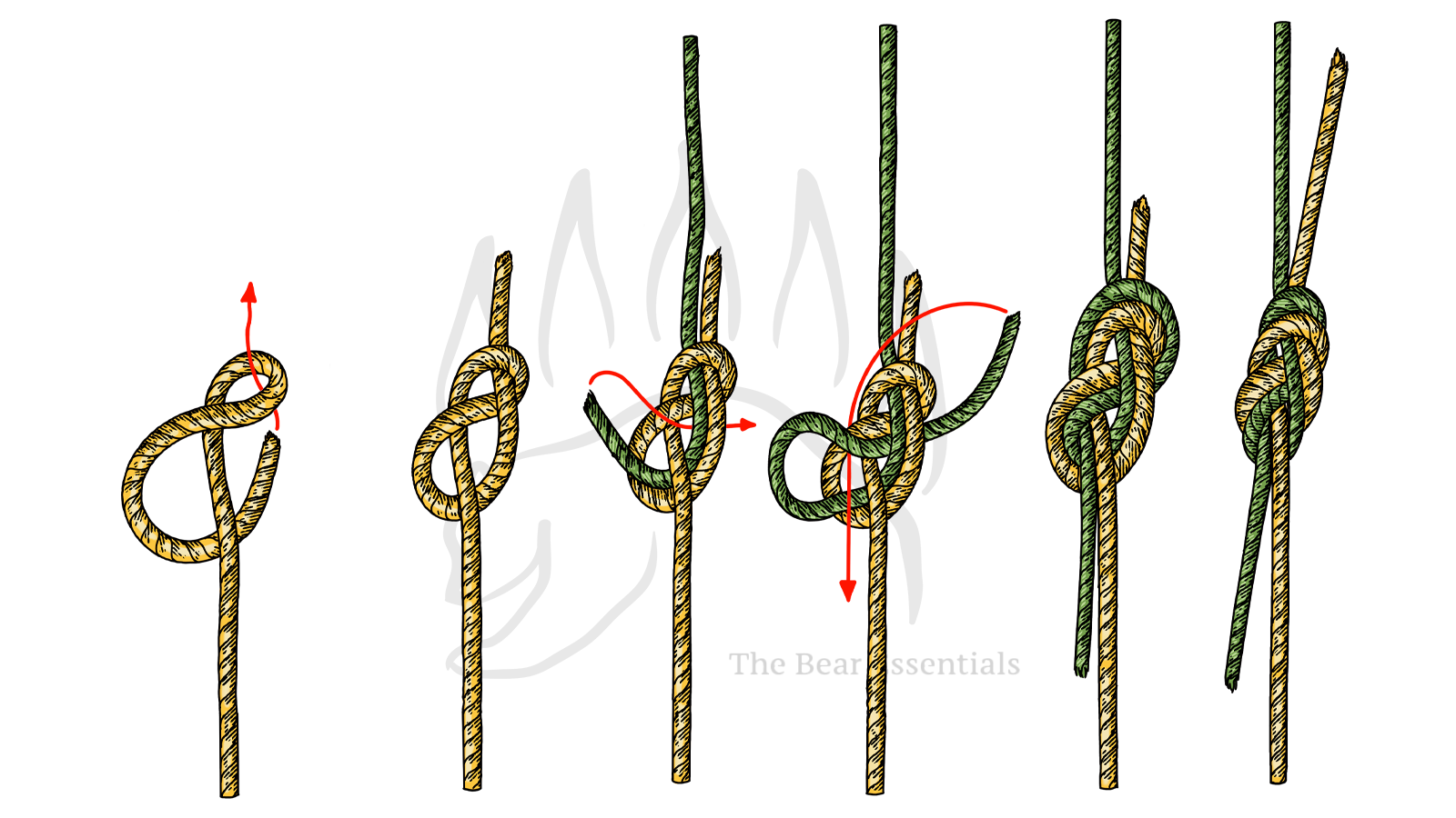 Step-by-step guide showing how to tie the Figure Eight Bend knot.