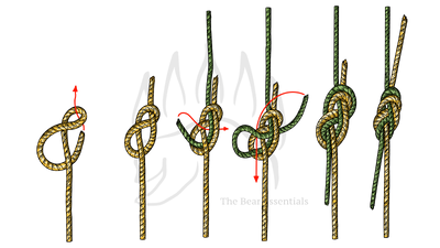 knot sample image