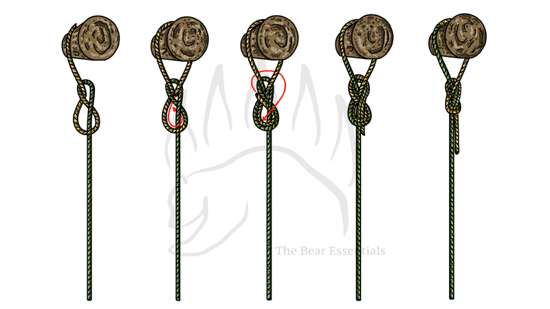 Step-by-step guide to tying the Figure Eight Follow Through knot around an object.