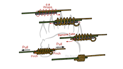knot sample image