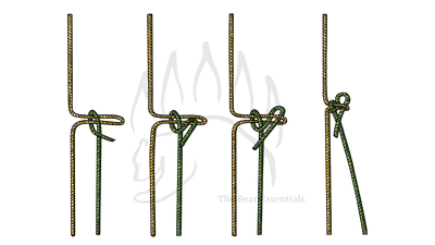 knot sample image