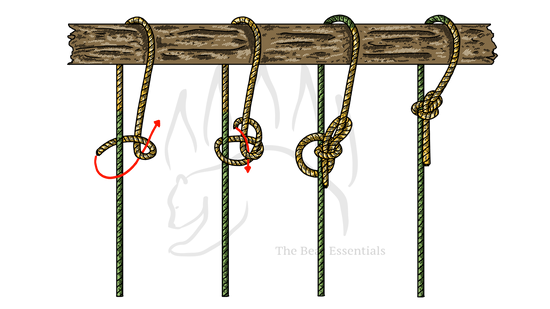 Step-by-step guide showing how to tie the Running Bowline knot.