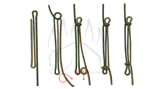 Step-by-step guide showing how to tie the Sheepshank knot in rope.