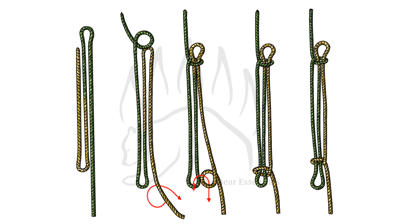 Step-by-step guide showing how to tie the Sheepshank knot in rope.