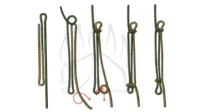 knot sample image