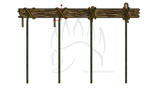 Slipped constrictor knot tied around a log with multiple ropes.