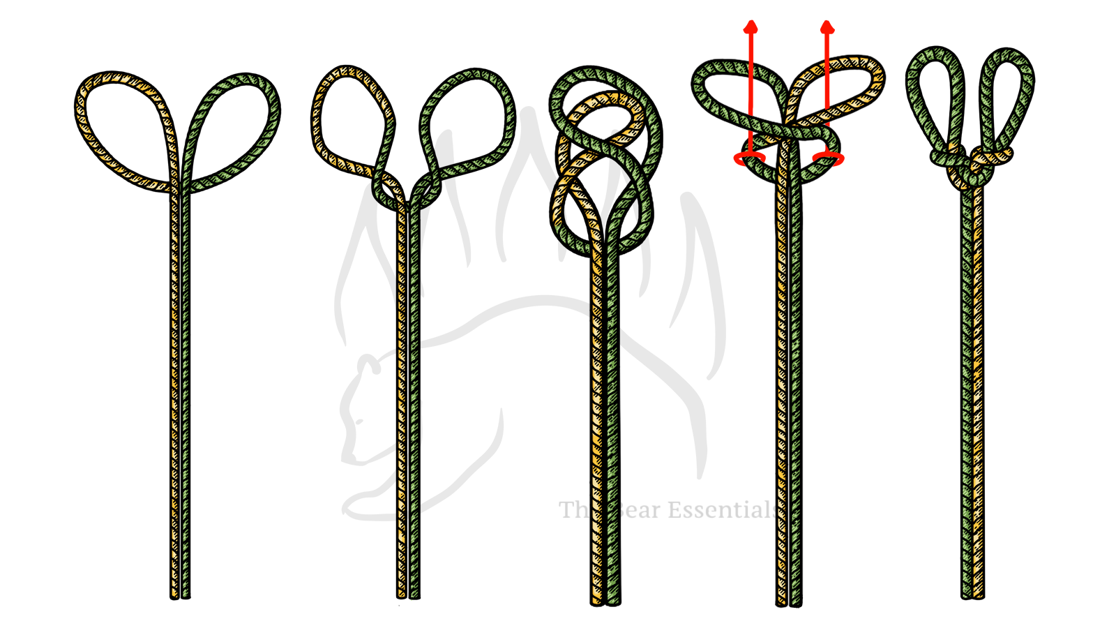 Step-by-step guide showing how to tie the Spanish Bowline knot.