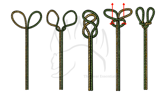 Step-by-step guide showing how to tie the Spanish Bowline knot.