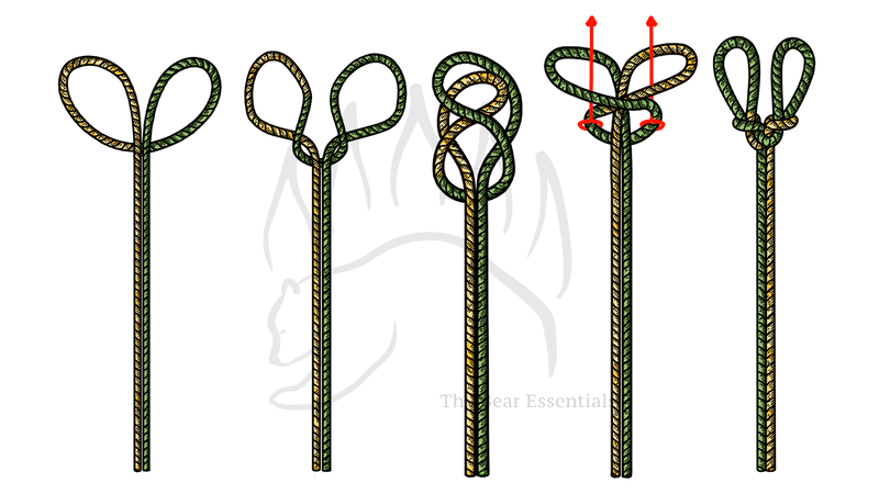 Step-by-step guide showing how to tie the Spanish Bowline knot.