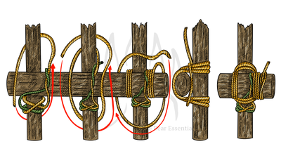 knot sample image