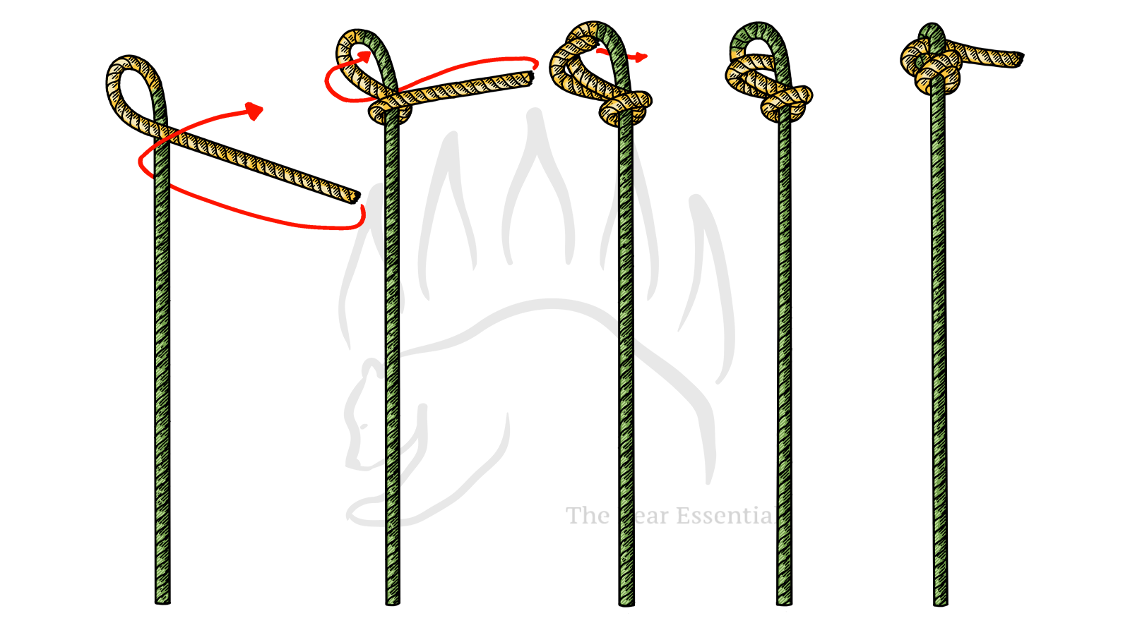 Step-by-step guide showing how to tie the Stevedore Stopper Knot.