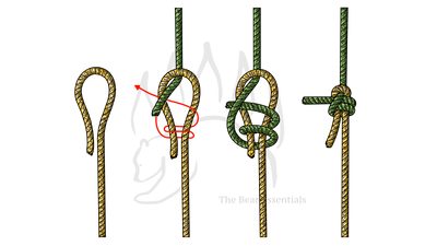 knot sample image