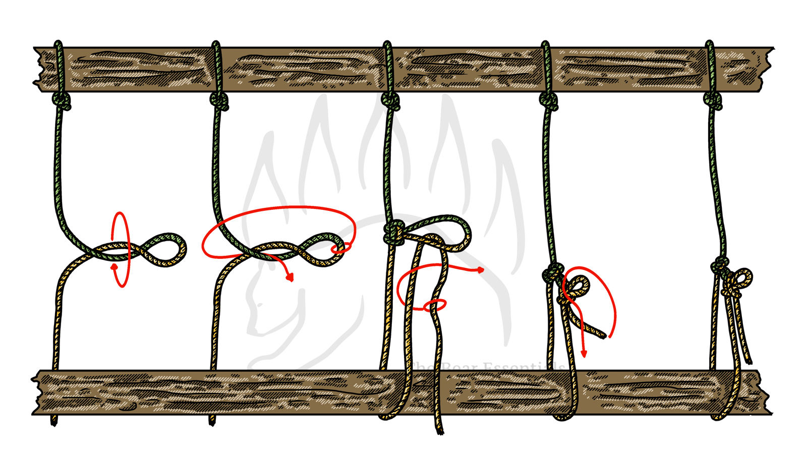 Step-by-step guide to tying the Trucker’s Hitch with Alpine Butterfly loop.