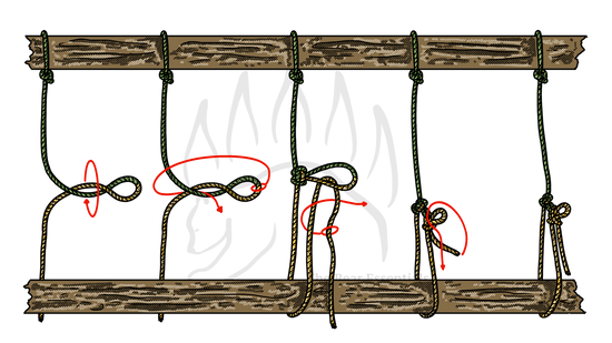 Step-by-step guide to tying the Trucker’s Hitch with Alpine Butterfly loop.
