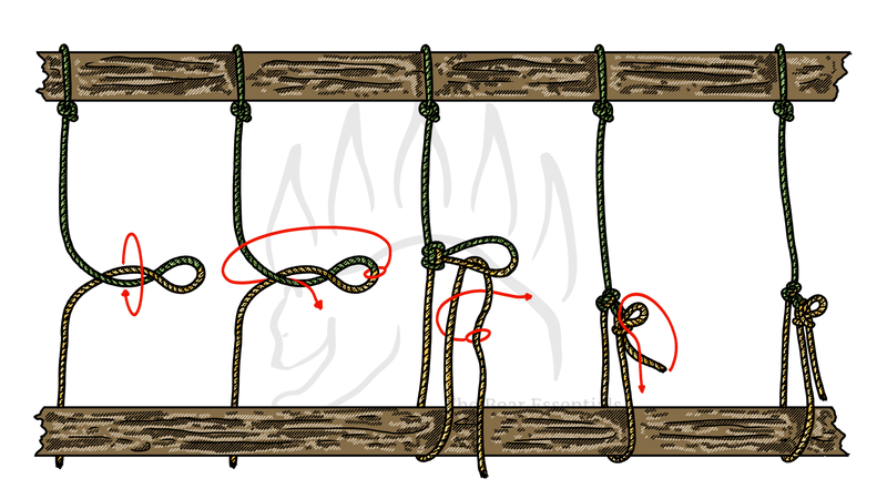 Step-by-step guide to tying the Trucker’s Hitch with Alpine Butterfly loop.
