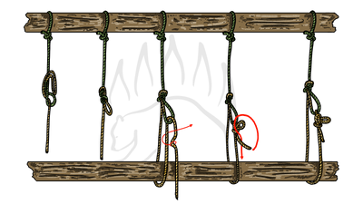 knot sample image