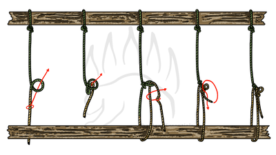 knot sample image