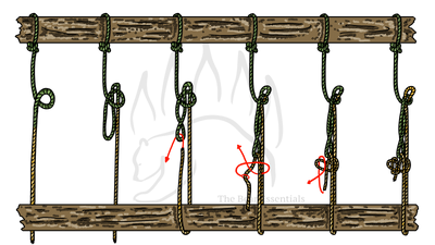 knot sample image