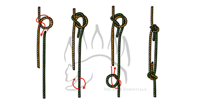 knot sample image