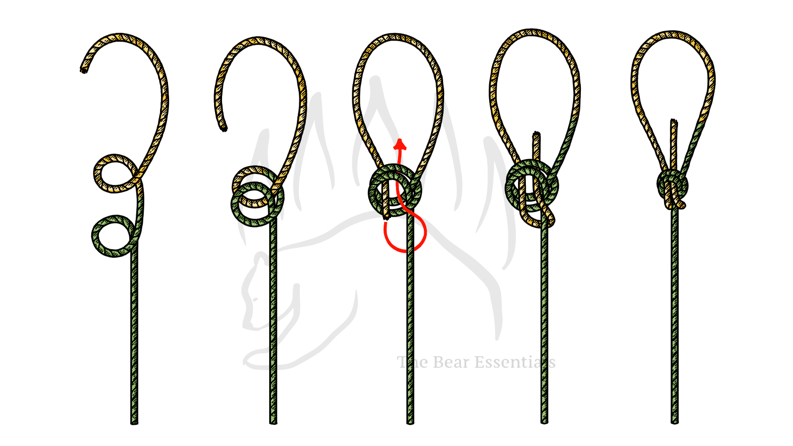 Step-by-step guide showing how to tie the Water Bowline knot.