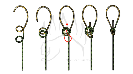 Step-by-step guide showing how to tie the Water Bowline knot.