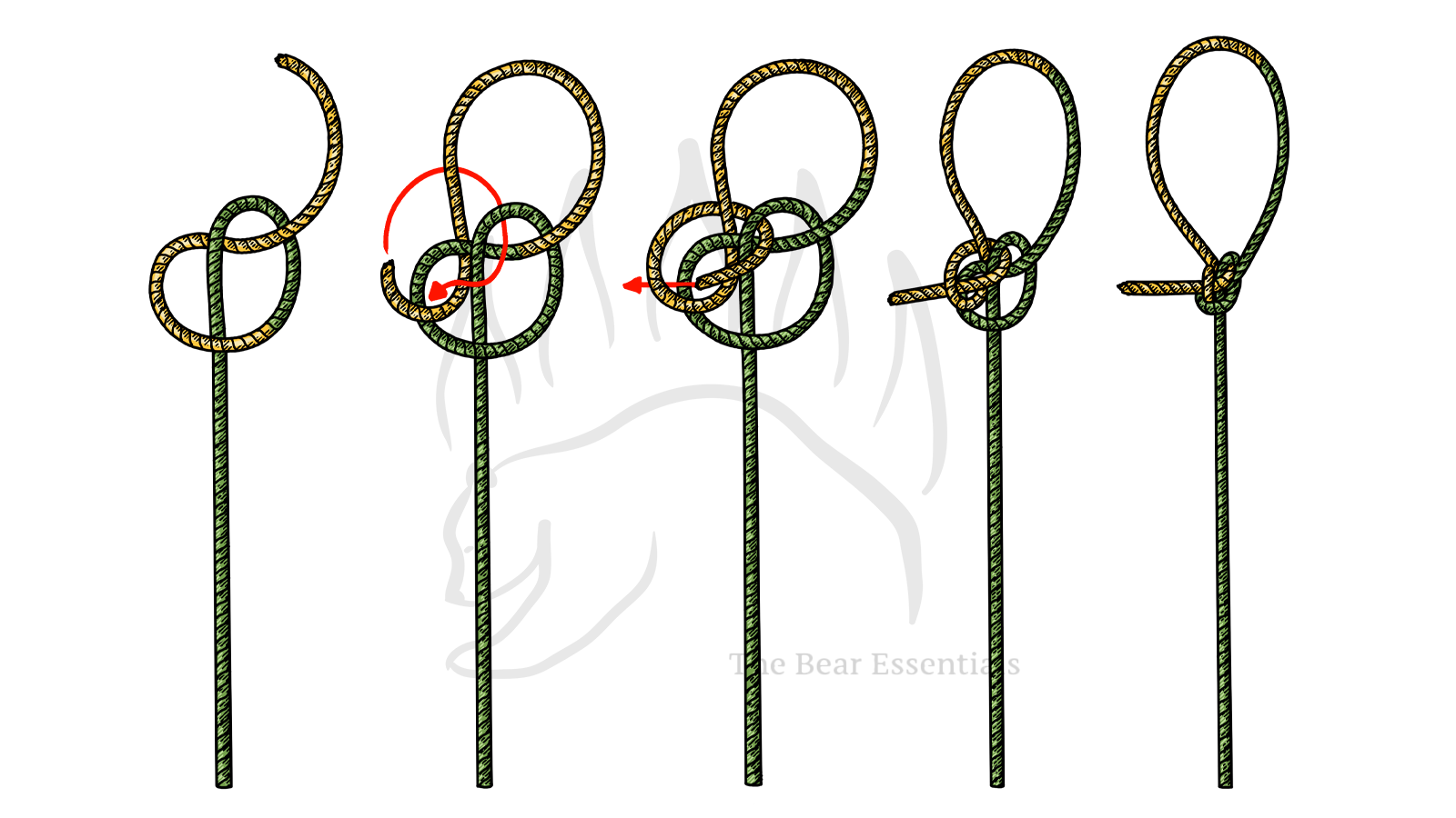 Step-by-step guide showing how to tie the Zeppelin Loop knot.
