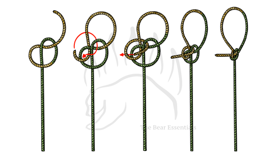Step-by-step guide showing how to tie the Zeppelin Loop knot.