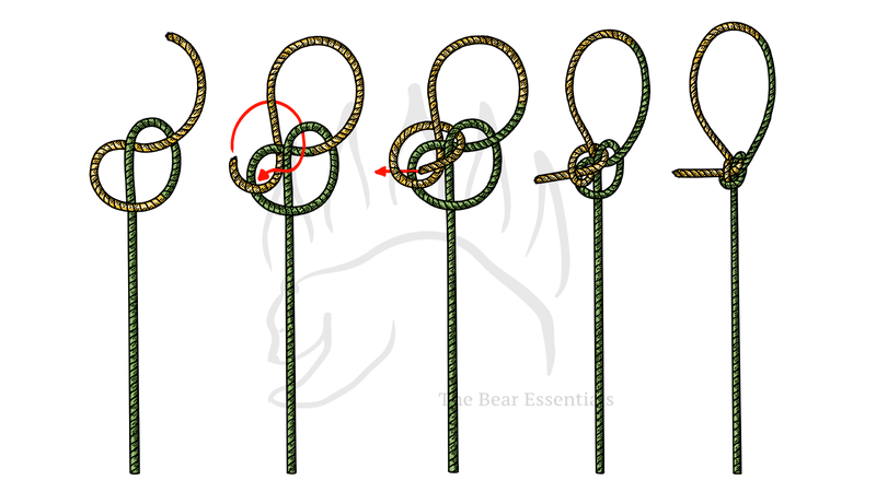 Step-by-step guide showing how to tie the Zeppelin Loop knot.