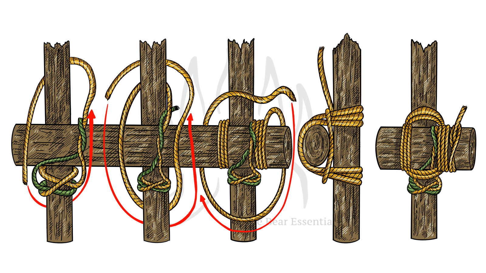 How To Tie a Square Lashing - The Bear Essentials Outdoors Co.