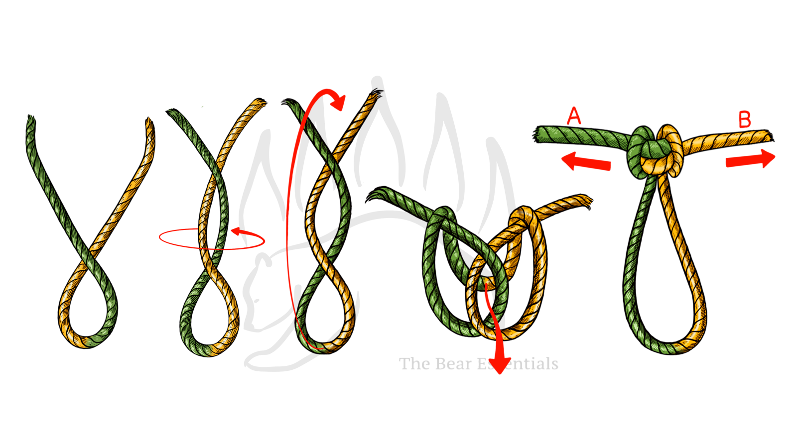 How To Tie The Alpine Butterfly Knot: "The Queen of Knots"