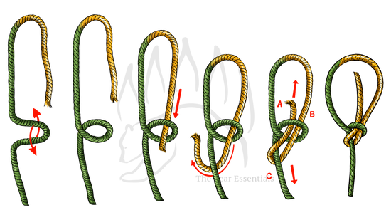 How to tie the bowline knot