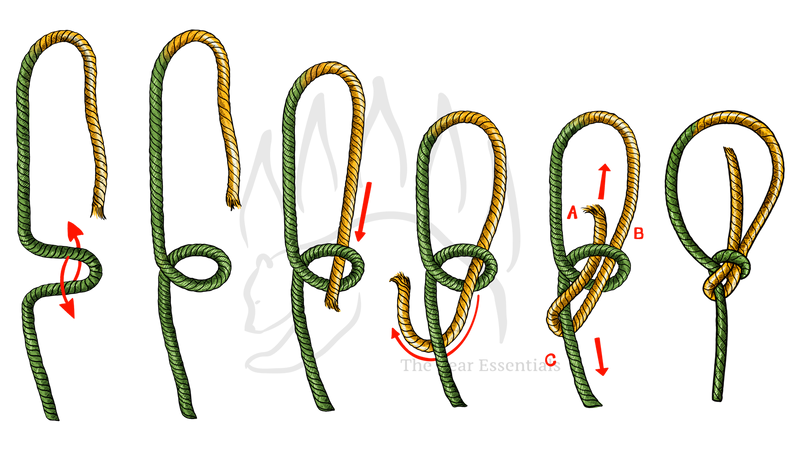How to tie the bowline knot