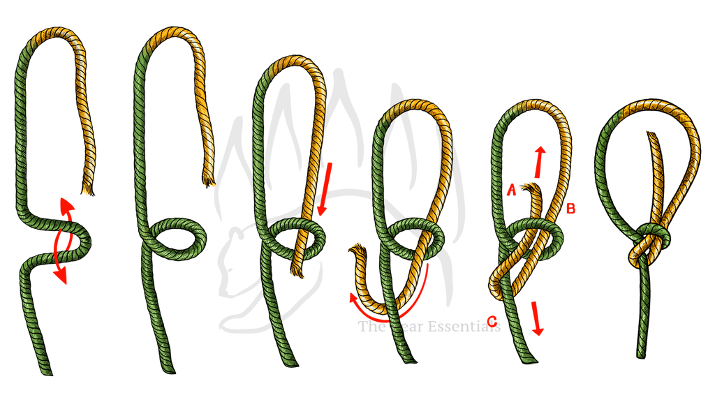 How to Tie The Bowline Knot – The Bear Essentials Outdoors Co.