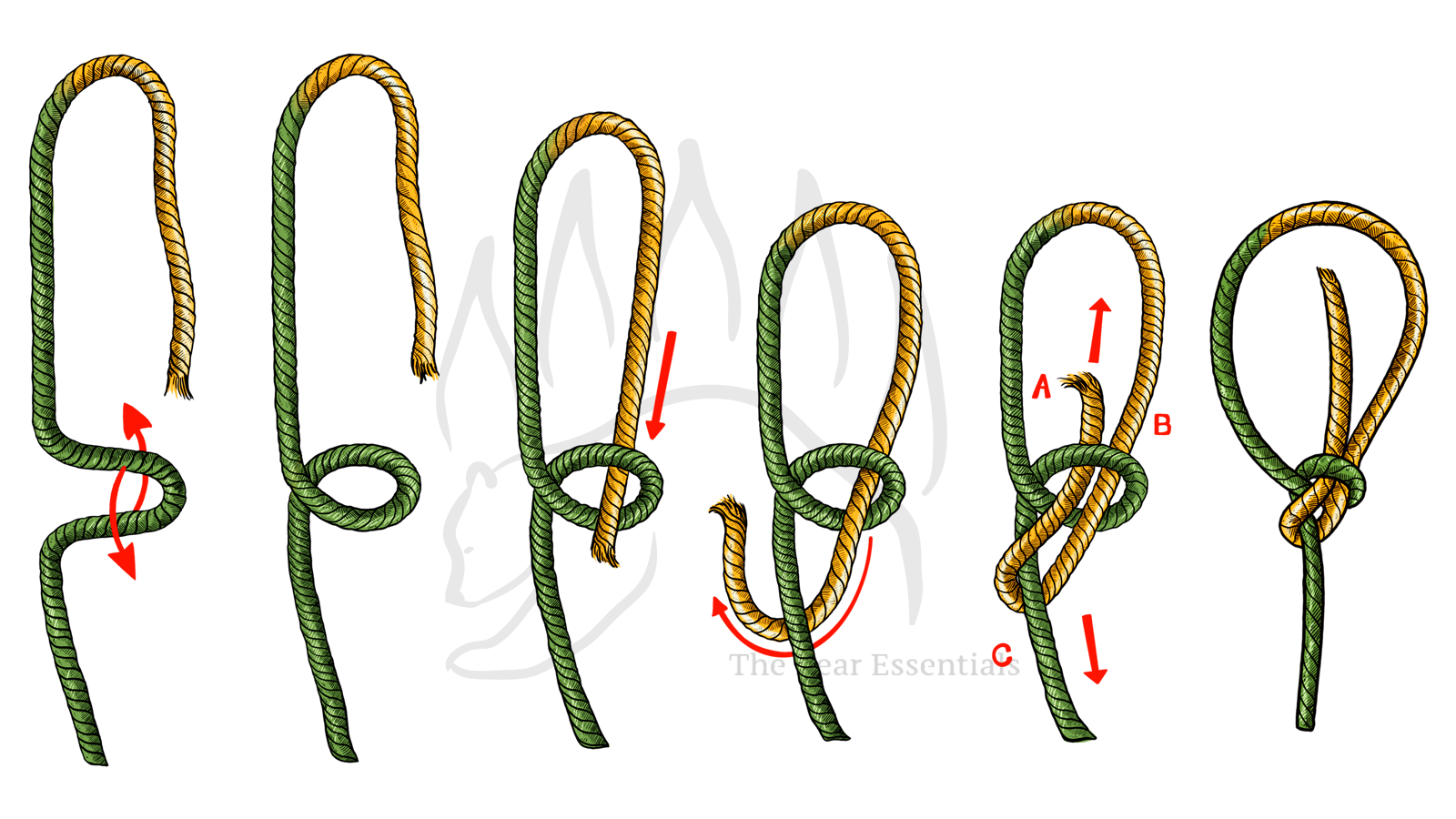 How to tie the bowline knot