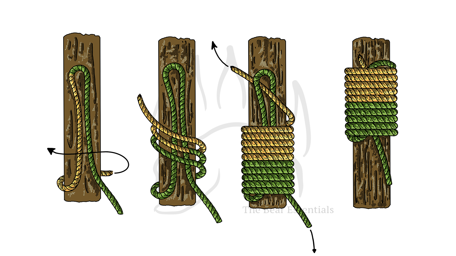 How to Tie the Common Whipping – The Bear Essentials Outdoors Co.