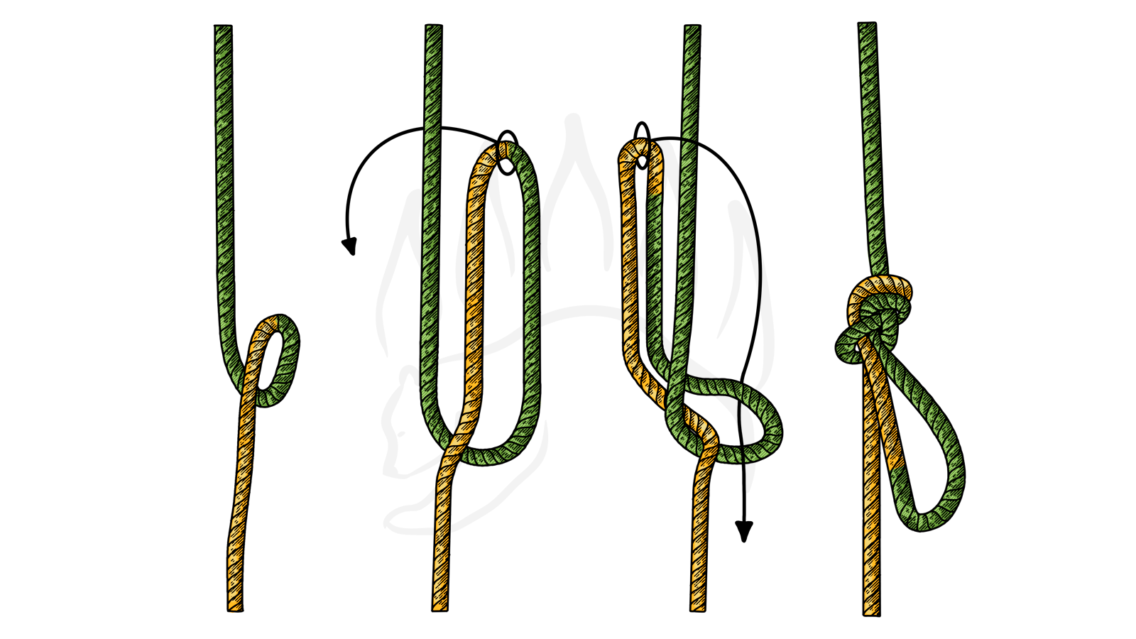 How to Tie The In-Line Figure Eight Knot