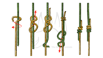 knot sample image