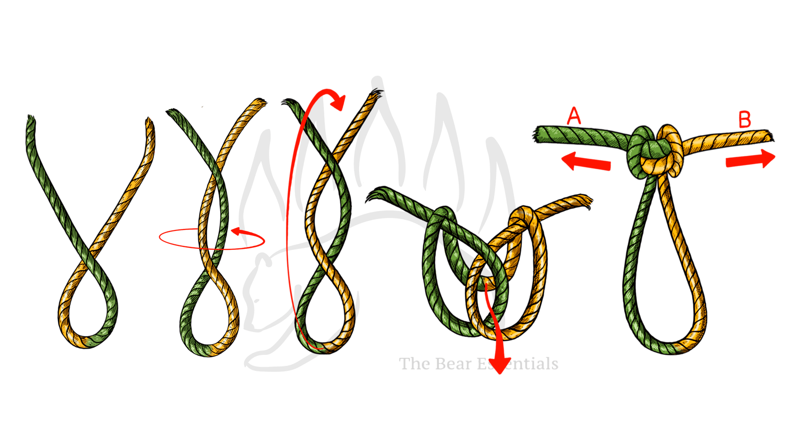 How to Tie the Alpine Butterfly Knot – The Bear Essentials Outdoors Co.