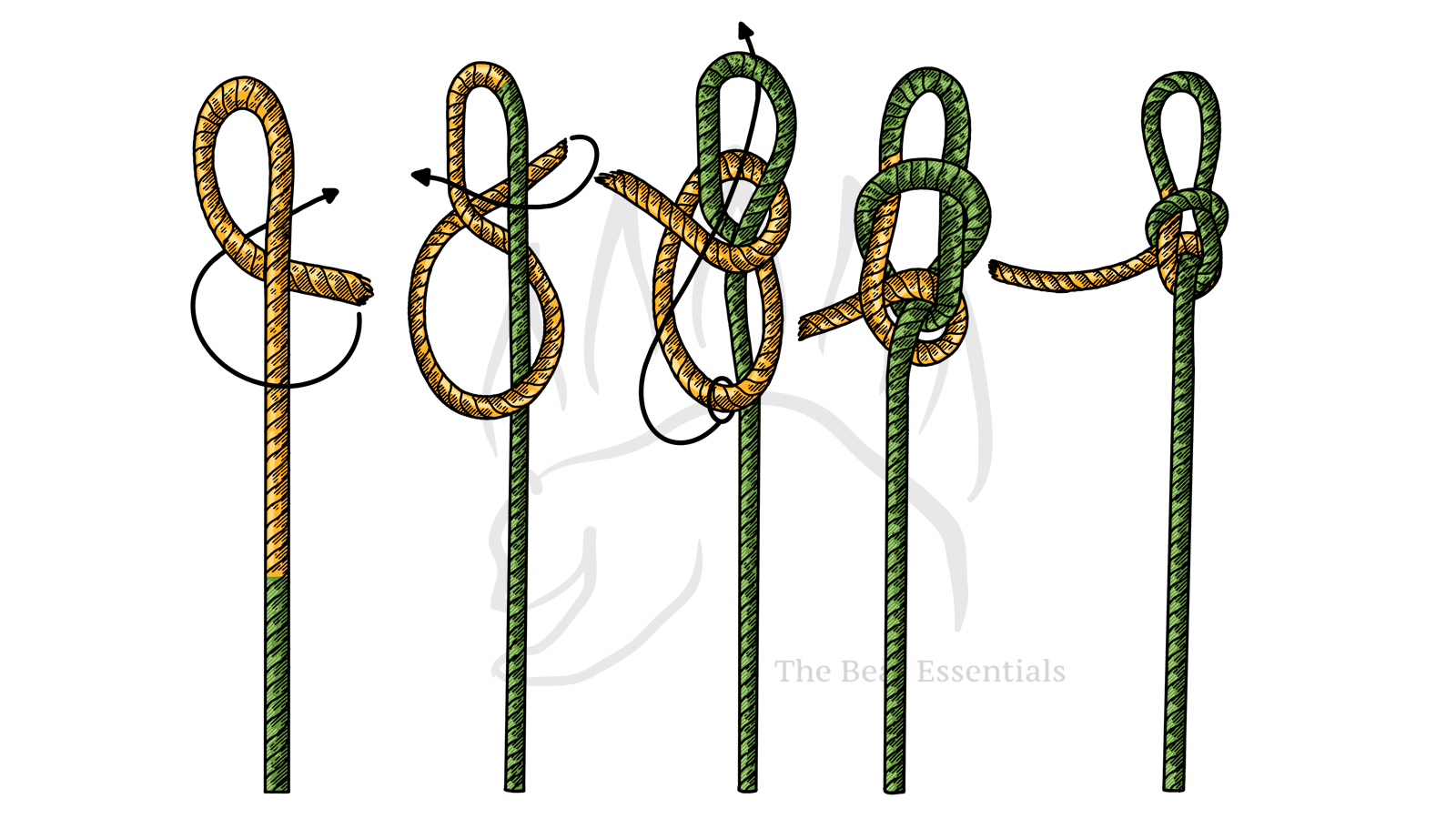 How to Tie the Angler’s Loop (Perfection Loop) - The Bear Essentials Outdoors Co.