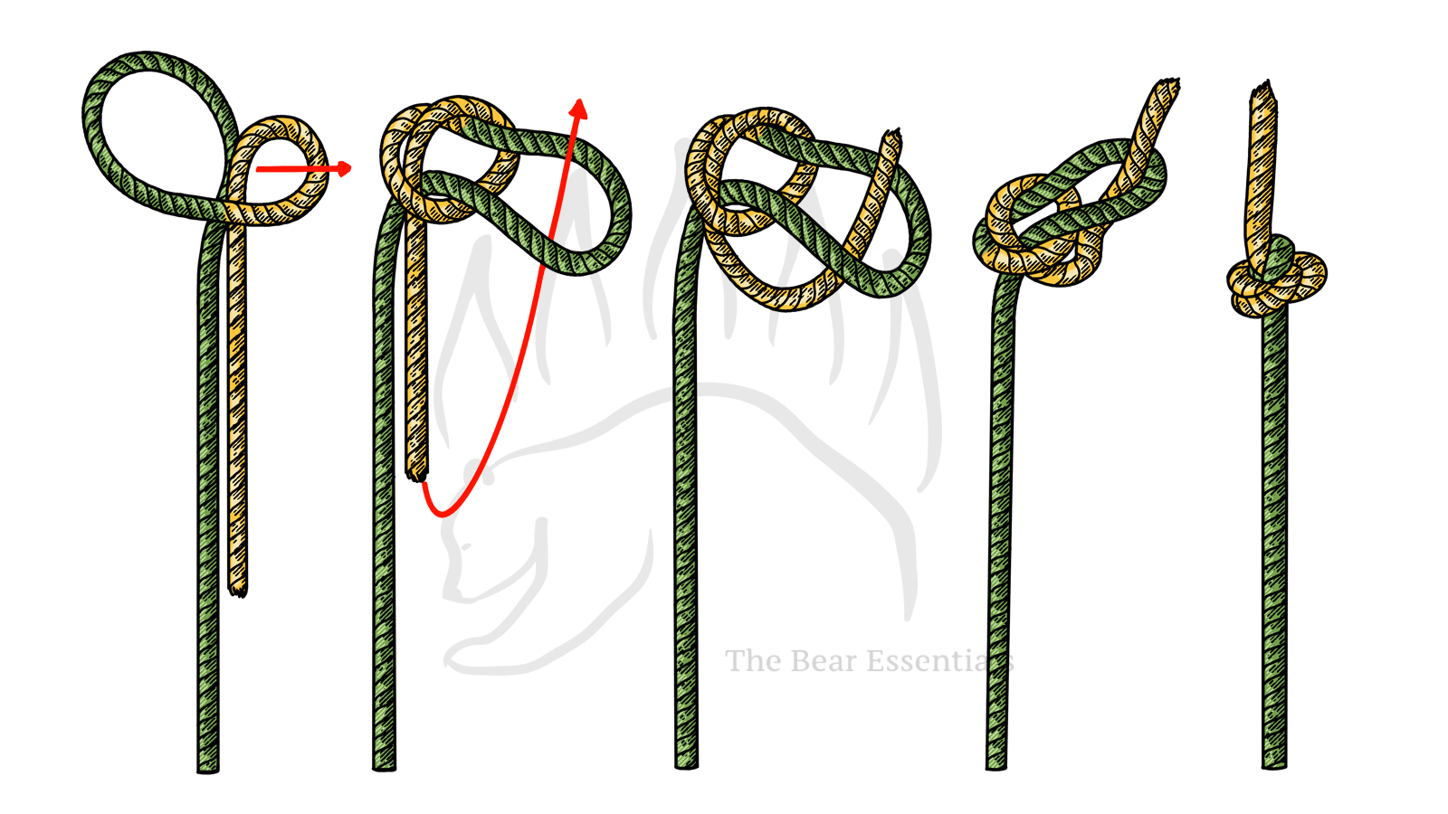 How to Tie the Ashley Stopper Knot - The Bear Essentials Outdoors Co.