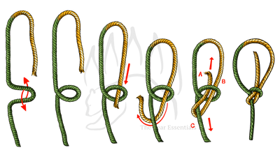 knot sample image